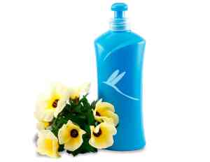 Bellonbel. Productos de limpieza profesional.jpg