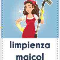 Limpieza Maicol Express.jpg