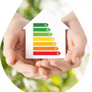 Novofutur Servicios Integrales s.l..jpg