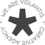 Volantis Creative Agency | Agencia de marketing digital en Burgos.jpg