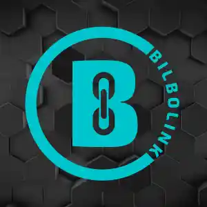 Bilbolink | Diseño Web & SEO en Bilbao.jpg