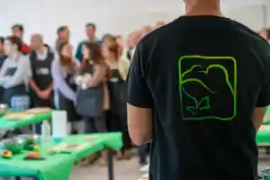 Froggy Events - Team Building - Actividades y Eventos para empresas.jpg