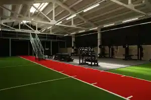 Human Movement Athletics.jpg