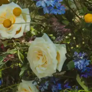 Floristería Florever.jpg