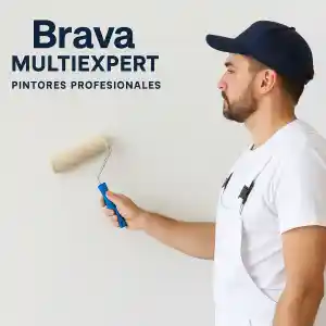 Brava MultiExpert .jpg