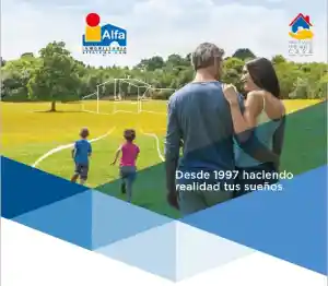 Alfa Inmobiliaria Franquicias.jpg