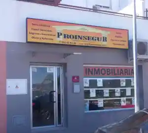 Inmobiliaria Proinsegur.jpg