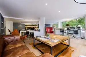 Singular Properties.jpg