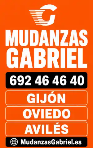 Mudanzas Gabriel Transporte .jpg