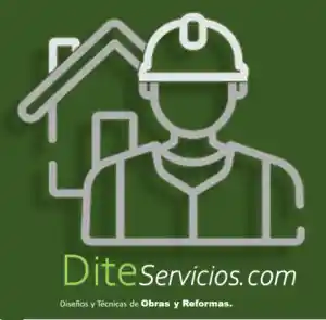 Dite Servicios e Innovación.jpg