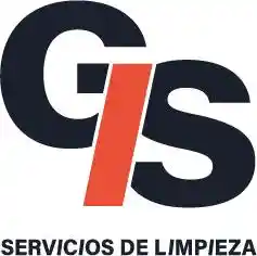 Gis servicios.jpg