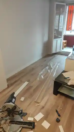 Pinturas Rayo.jpg